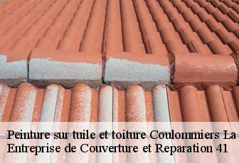 Peinture sur tuile et toiture  coulommiers-la-tour-41100 Entreprise de Couverture et Reparation 41