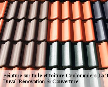 Peinture sur tuile et toiture coulommiers-la-tour-41100 Duval Rénovation & Couverture