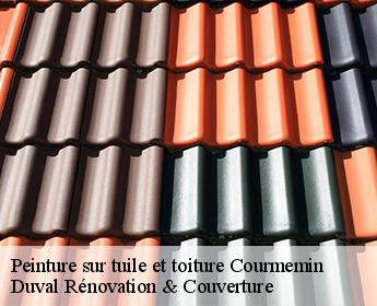 Peinture sur tuile et toiture  courmemin-41230 Duval Rénovation & Couverture
