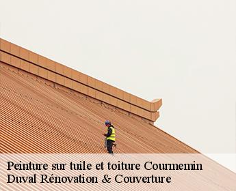 Peinture sur tuile et toiture