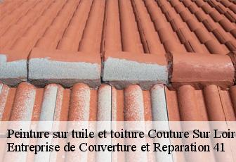 Peinture sur tuile et toiture  couture-sur-loir-41800 Entreprise de Couverture et Reparation 41