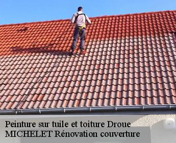Peinture sur tuile et toiture droue-41270 MICHELET Rénovation couverture