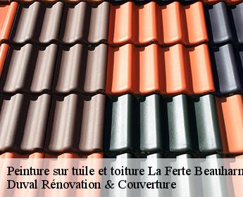 Peinture sur tuile et toiture la-ferte-beauharnais-41210 Duval Rénovation & Couverture