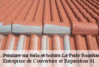 Peinture sur tuile et toiture  la-ferte-beauharnais-41210 Entreprise de Couverture et Reparation 41