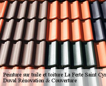 Peinture sur tuile et toiture la-ferte-saint-cyr-41220 Duval Rénovation & Couverture