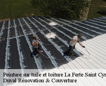 Peinture sur tuile et toiture 41220
