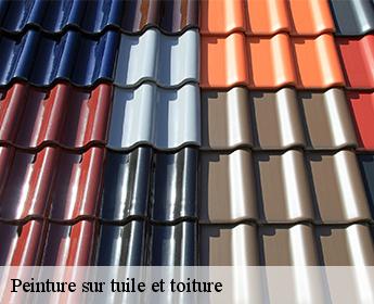 Peinture sur tuile et toiture 41220