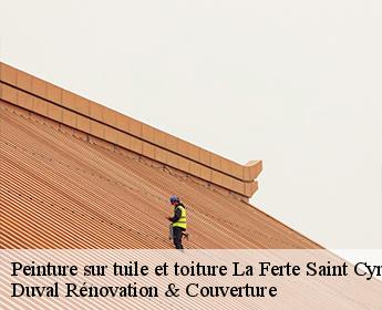 Peinture sur tuile et toiture