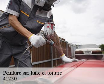 Peinture sur tuile et toiture 41220