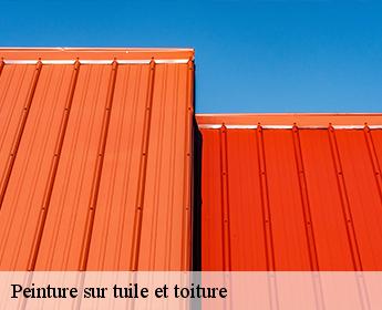 Peinture sur tuile et toiture