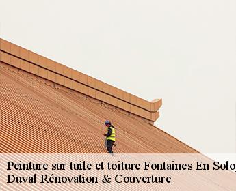 Peinture sur tuile et toiture