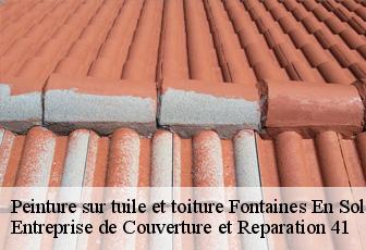 Peinture sur tuile et toiture  fontaines-en-sologne-41250 Entreprise de Couverture et Reparation 41