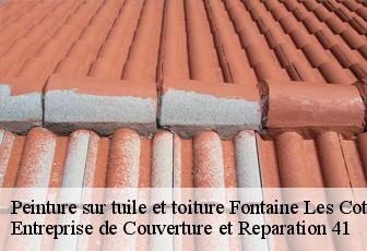 Peinture sur tuile et toiture  fontaine-les-coteaux-41800 Entreprise de Couverture et Reparation 41