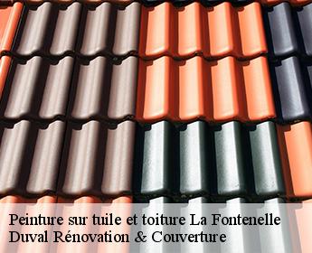 Peinture sur tuile et toiture la-fontenelle-41270 Duval Rénovation & Couverture