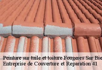Peinture sur tuile et toiture  fougeres-sur-bievre-41120 Entreprise de Couverture et Reparation 41