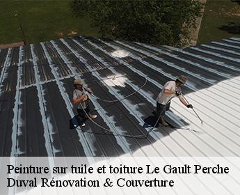 Peinture sur tuile et toiture 41270