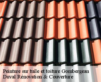 Peinture sur tuile et toiture gombergean-41310 Duval Rénovation & Couverture
