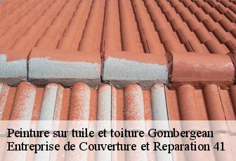 Peinture sur tuile et toiture  gombergean-41310 Entreprise de Couverture et Reparation 41