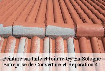 Peinture sur tuile et toiture  gy-en-sologne-41230 Entreprise de Couverture et Reparation 41