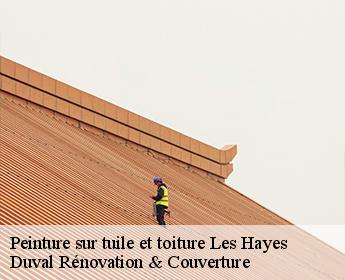 Peinture sur tuile et toiture