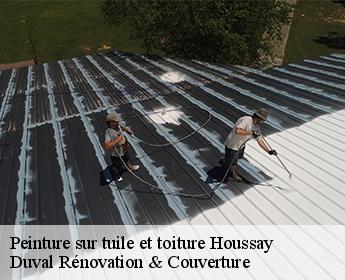 Peinture sur tuile et toiture 41800
