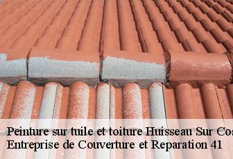 Peinture sur tuile et toiture  huisseau-sur-cosson-41350 Entreprise de Couverture et Reparation 41