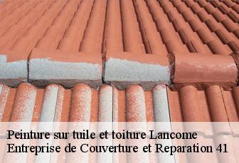 Peinture sur tuile et toiture  lancome-41190 Entreprise de Couverture et Reparation 41
