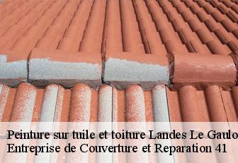 Peinture sur tuile et toiture  landes-le-gaulois-41190 Entreprise de Couverture et Reparation 41