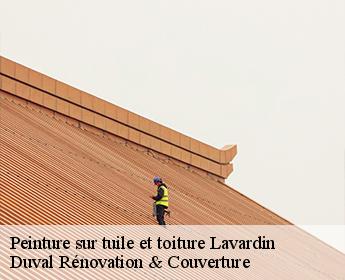 Peinture sur tuile et toiture