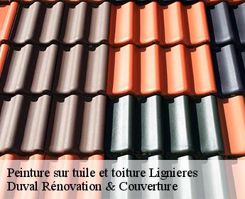 Peinture sur tuile et toiture lignieres-41160 Duval Rénovation & Couverture