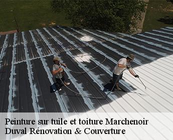 Peinture sur tuile et toiture 41370