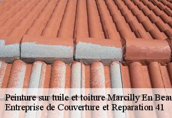 Peinture sur tuile et toiture  marcilly-en-beauce-41100 Entreprise de Couverture et Reparation 41