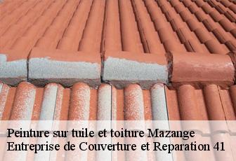 Peinture sur tuile et toiture  mazange-41100 Entreprise de Couverture et Reparation 41