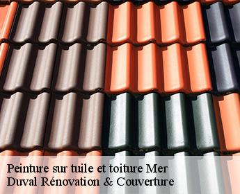 Peinture sur tuile et toiture mer-41500 Duval Rénovation & Couverture