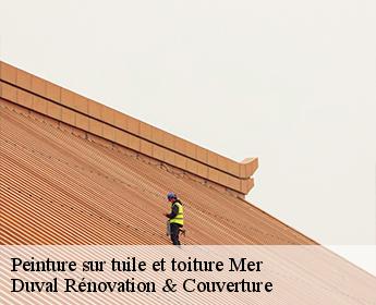 Peinture sur tuile et toiture