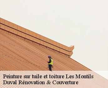 Peinture sur tuile et toiture