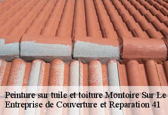 Peinture sur tuile et toiture  montoire-sur-le-loir-41800 Entreprise de Couverture et Reparation 41