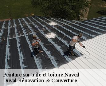 Peinture sur tuile et toiture 41100