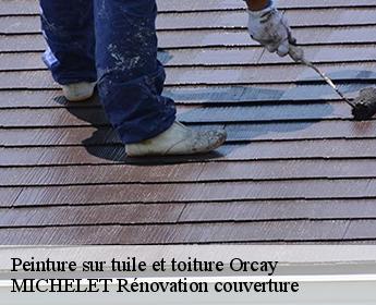 Peinture sur tuile et toiture 41300
