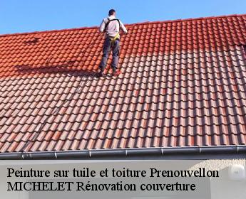 Peinture sur tuile et toiture prenouvellon-41240 MICHELET Rénovation couverture