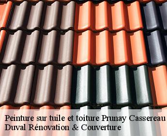 Peinture sur tuile et toiture  prunay-cassereau-41310 Duval Rénovation & Couverture
