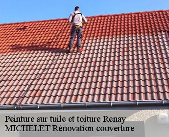 Peinture sur tuile et toiture renay-41100 Artisan Coteux