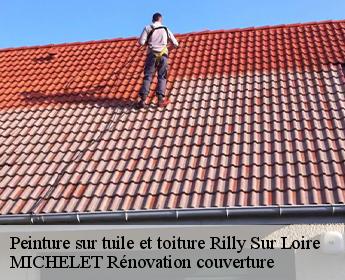 Peinture sur tuile et toiture rilly-sur-loire-41150 Artisan Coteux
