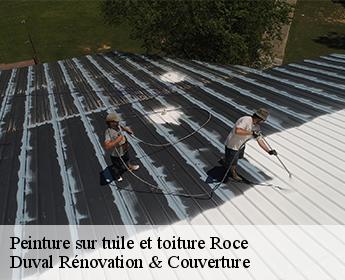 Peinture sur tuile et toiture 41100
