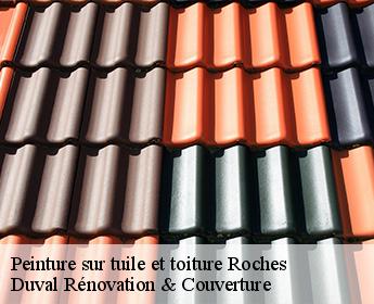 Peinture sur tuile et toiture roches-41370 Duval Rénovation & Couverture