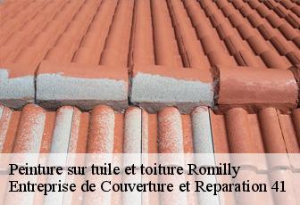 Peinture sur tuile et toiture  romilly-41270 Entreprise de Couverture et Reparation 41
