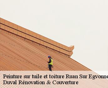Peinture sur tuile et toiture