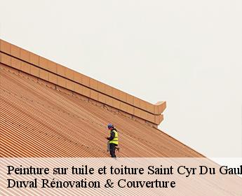 Peinture sur tuile et toiture