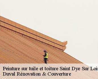 Peinture sur tuile et toiture