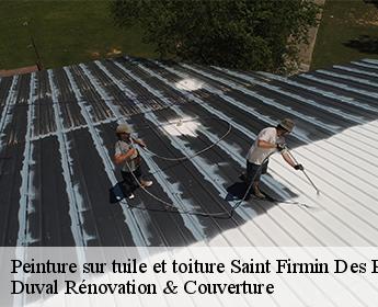 Peinture sur tuile et toiture 41100